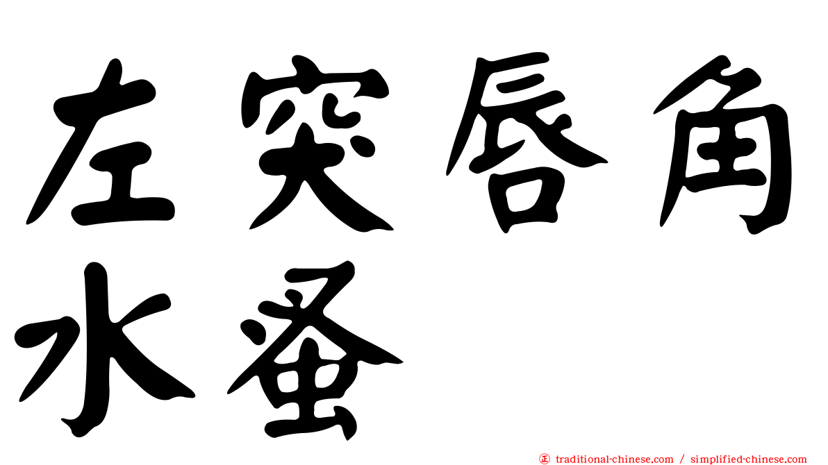 左突唇角水蚤