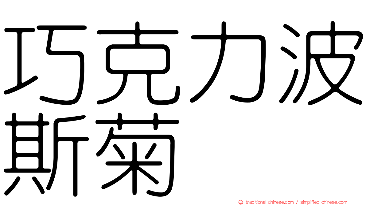 巧克力波斯菊