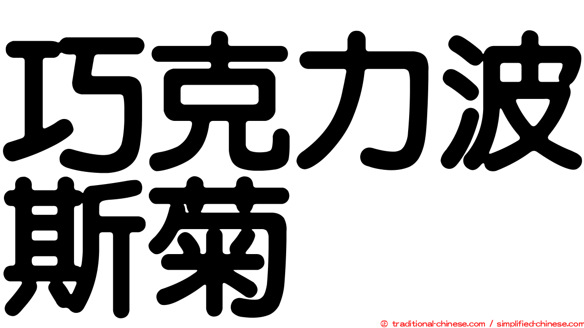 巧克力波斯菊