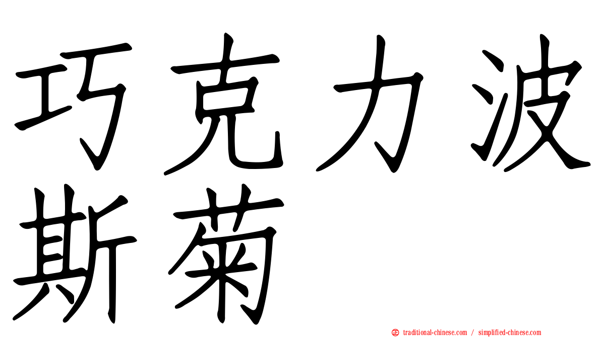 巧克力波斯菊
