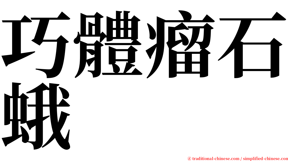 巧體瘤石蛾 serif font