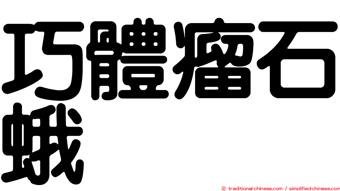 巧體瘤石蛾
