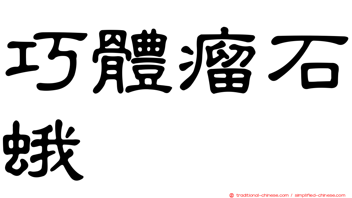 巧體瘤石蛾