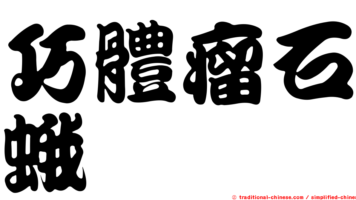 巧體瘤石蛾