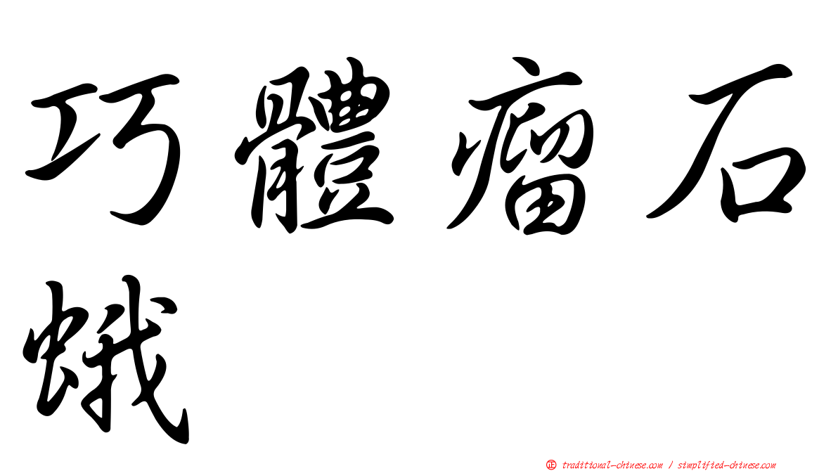巧體瘤石蛾