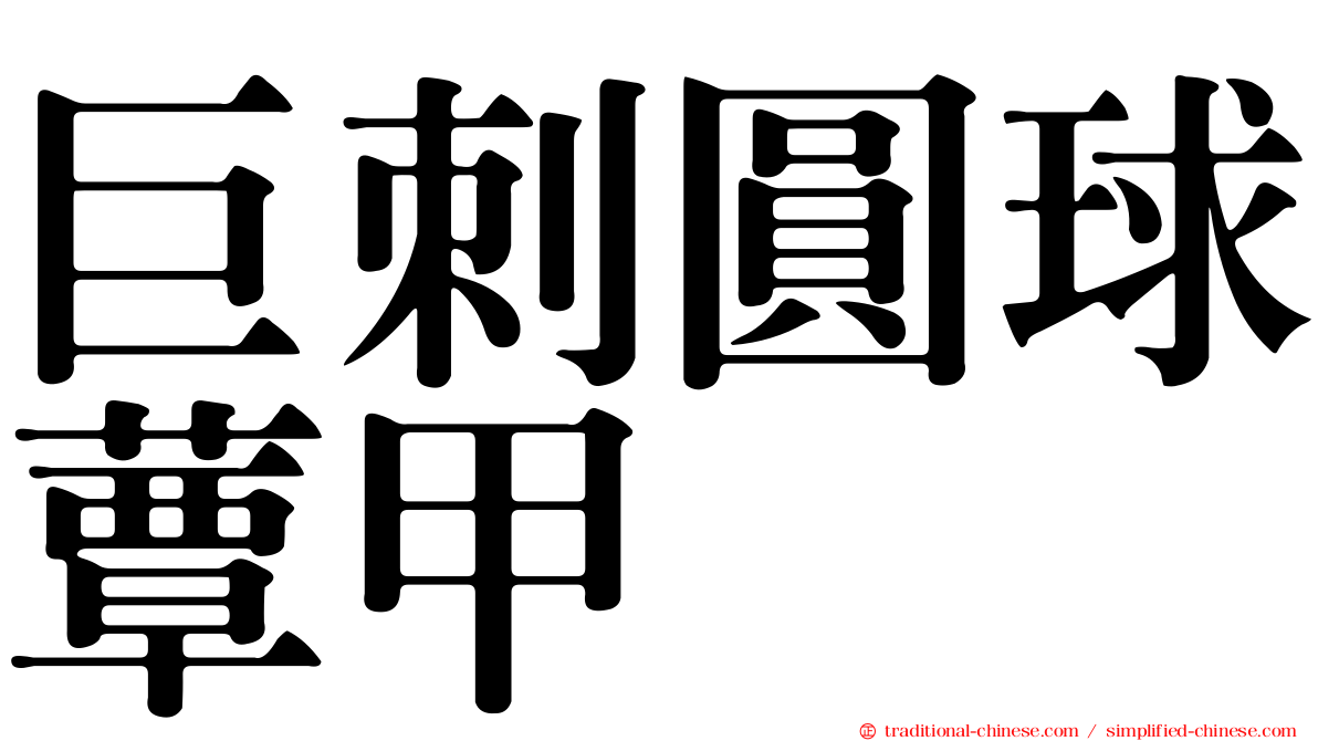 巨刺圓球蕈甲
