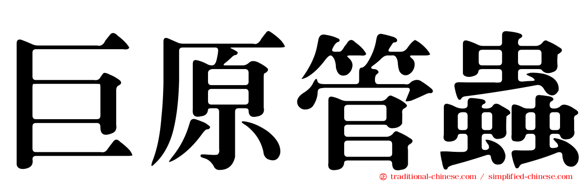 巨原管蟲