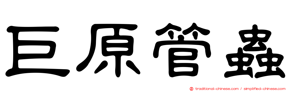 巨原管蟲