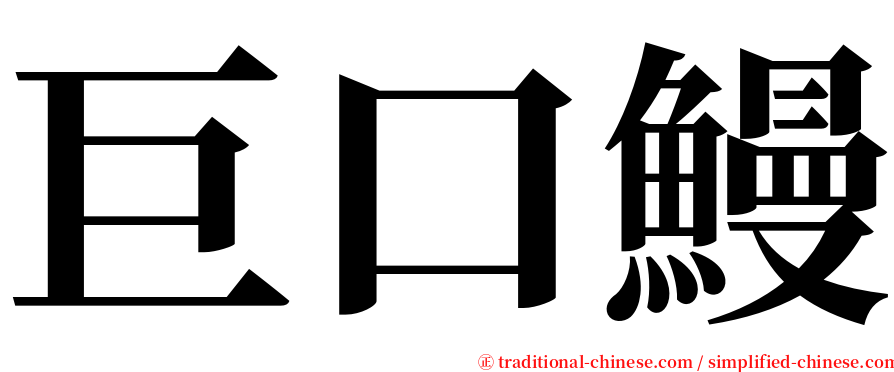巨口鰻 serif font