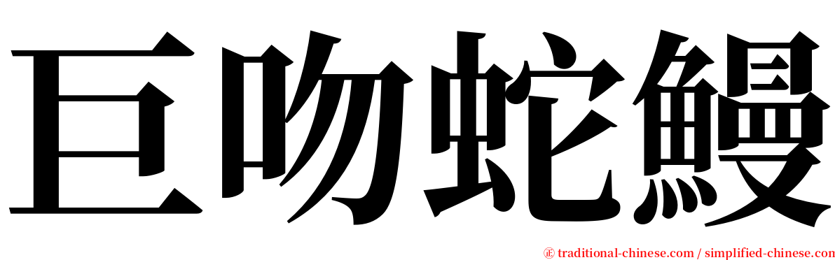 巨吻蛇鰻 serif font