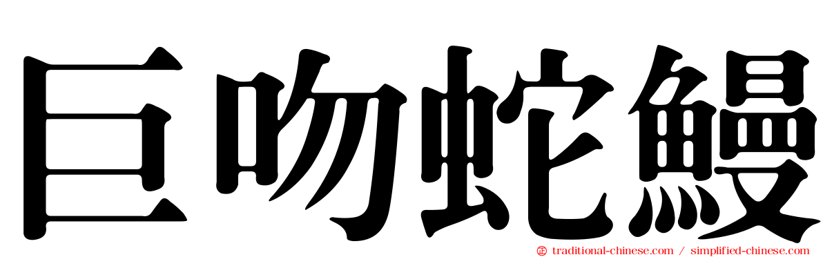巨吻蛇鰻