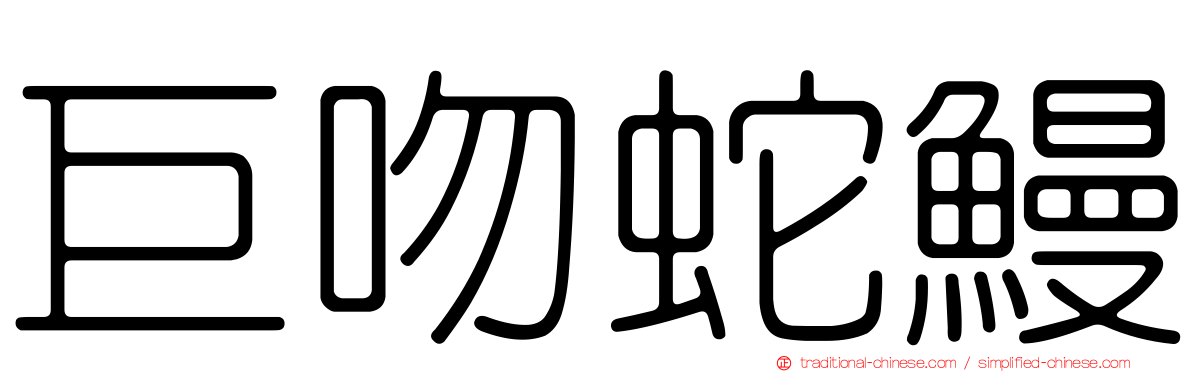 巨吻蛇鰻