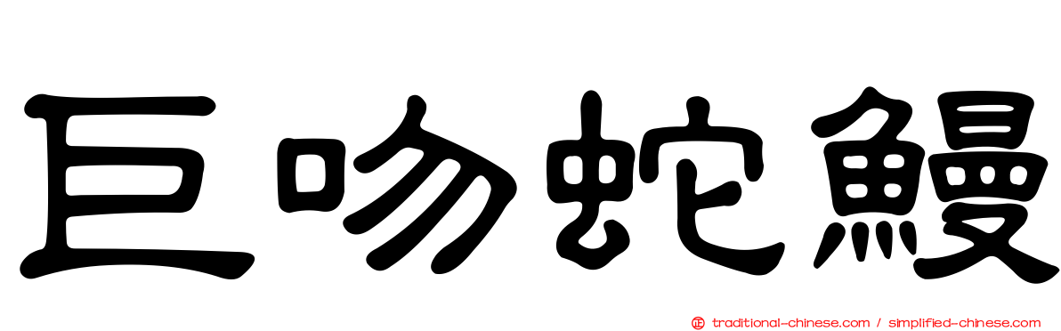 巨吻蛇鰻