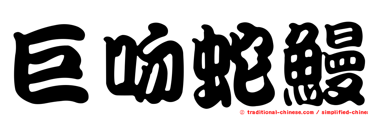 巨吻蛇鰻