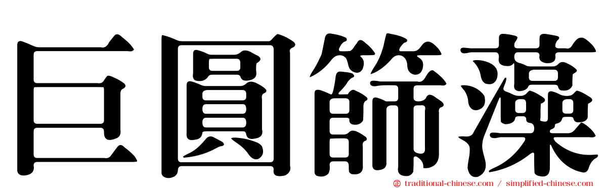 巨圓篩藻