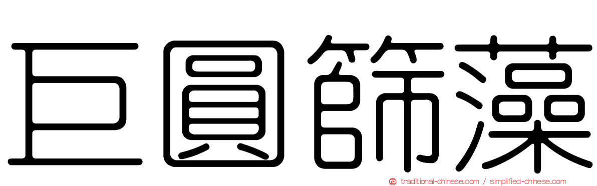 巨圓篩藻