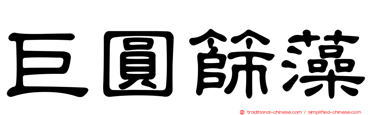巨圓篩藻