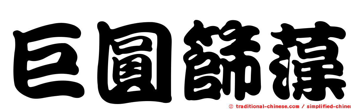 巨圓篩藻