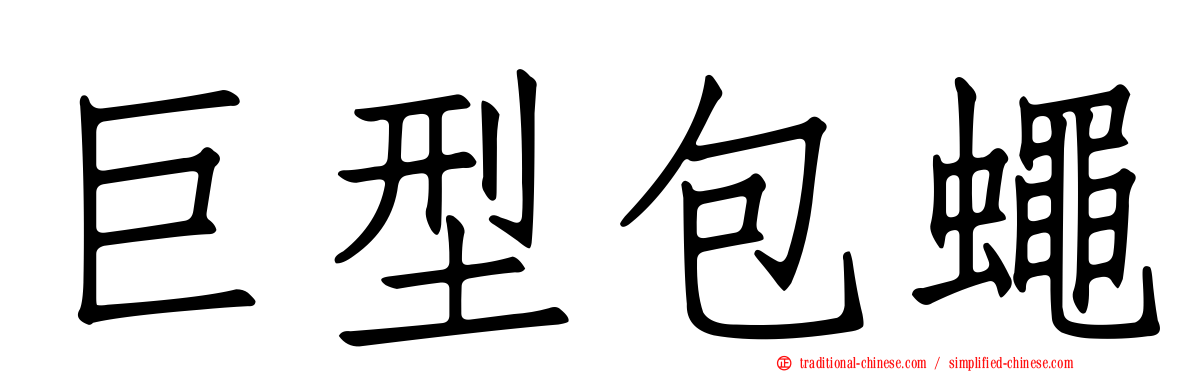 巨型包蠅