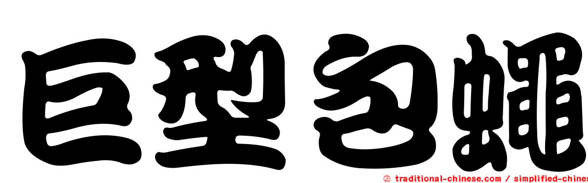 巨型包蠅