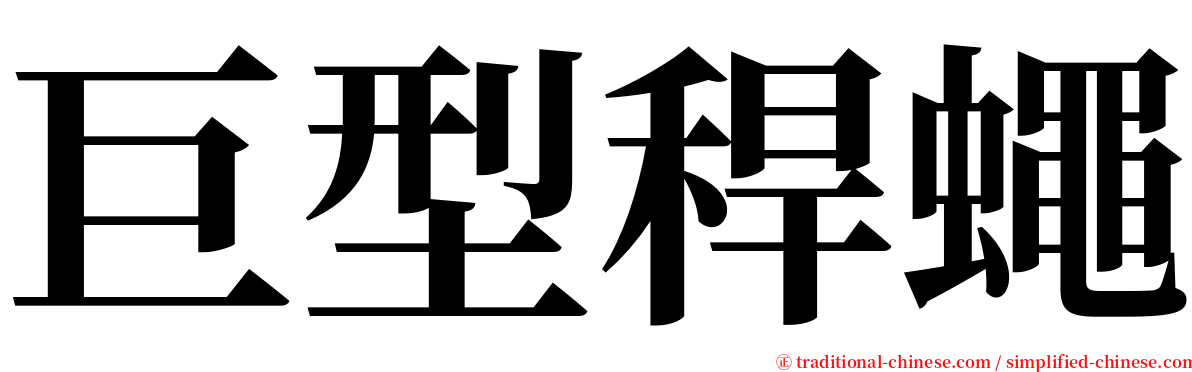 巨型稈蠅 serif font