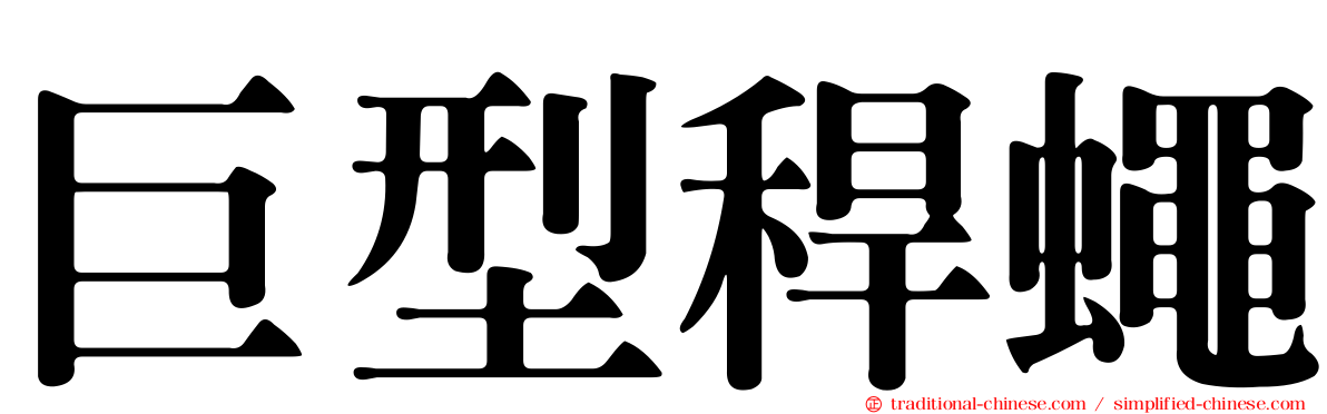 巨型稈蠅