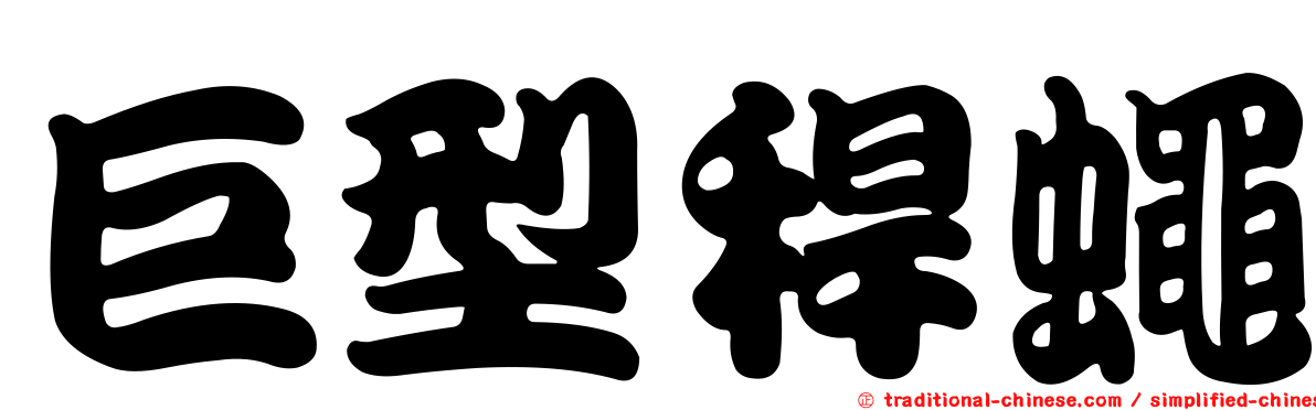 巨型稈蠅