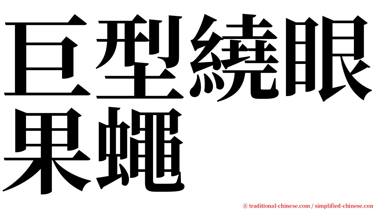 巨型繞眼果蠅 serif font