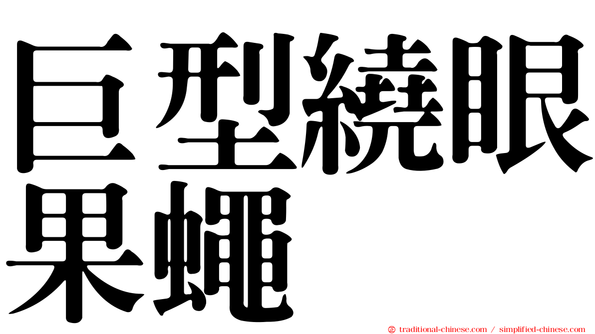巨型繞眼果蠅