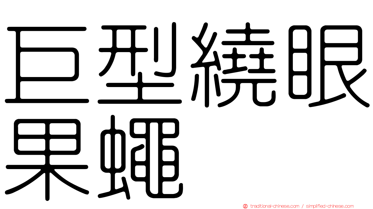 巨型繞眼果蠅