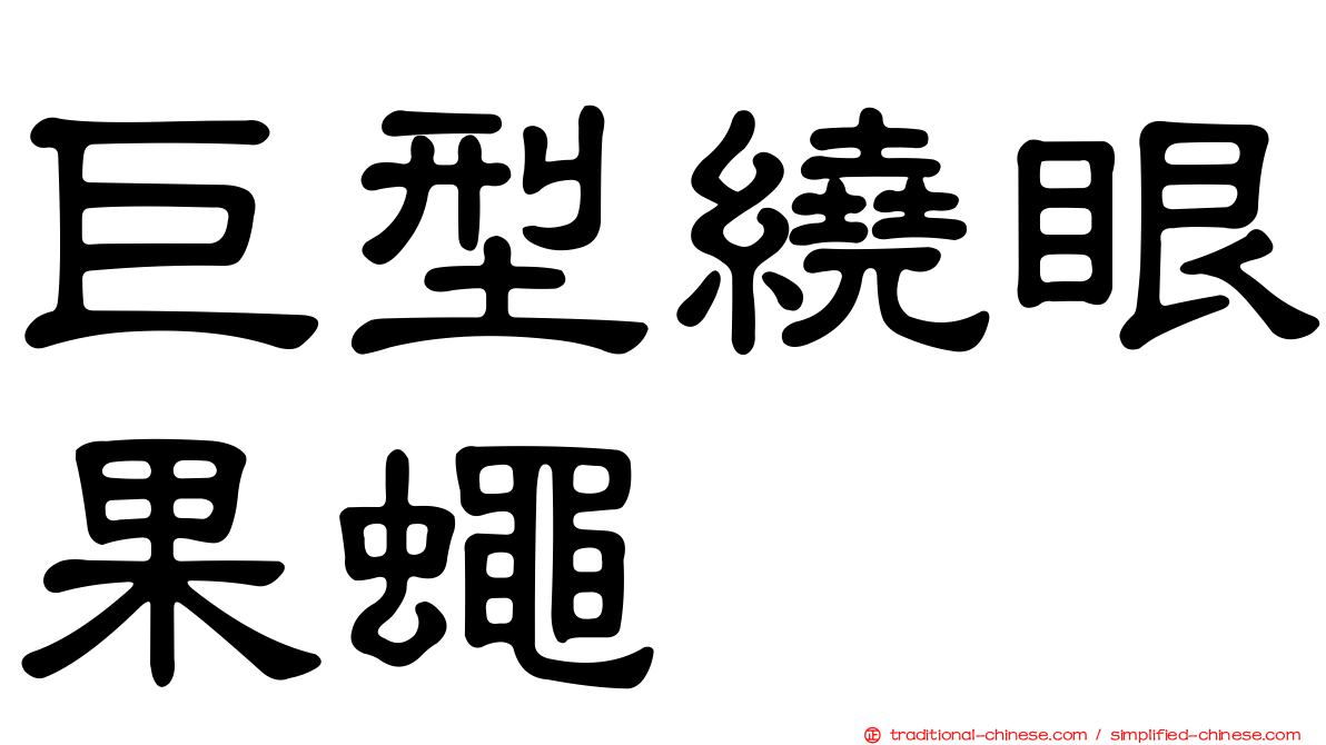 巨型繞眼果蠅