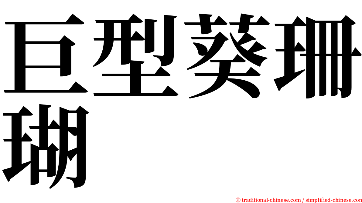 巨型葵珊瑚 serif font