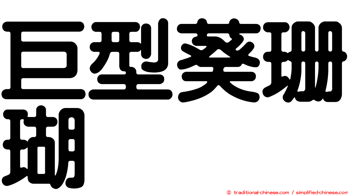 巨型葵珊瑚