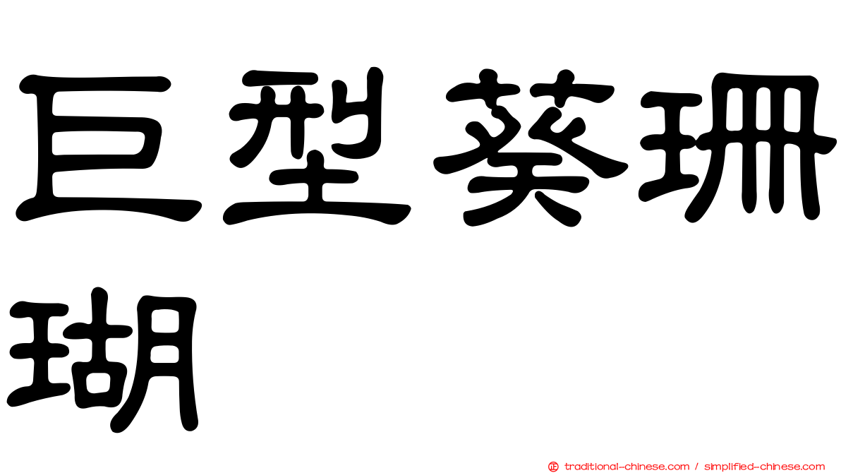 巨型葵珊瑚