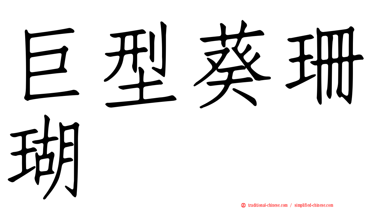 巨型葵珊瑚