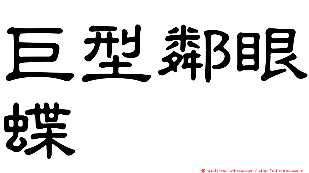 巨型鄰眼蝶
