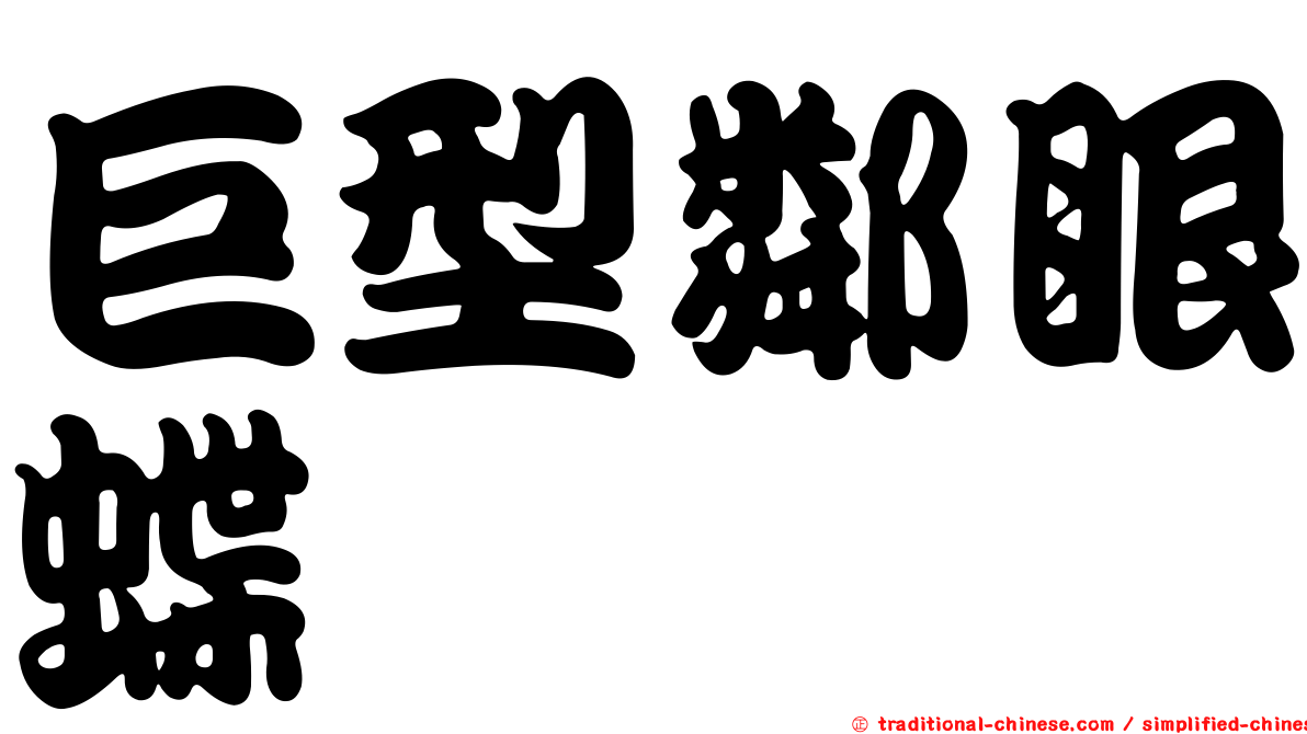 巨型鄰眼蝶