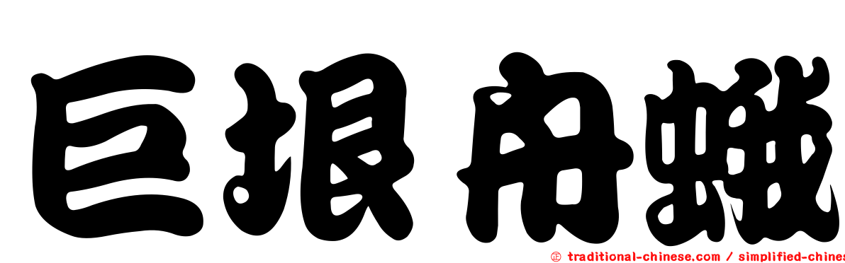 巨垠舟蛾