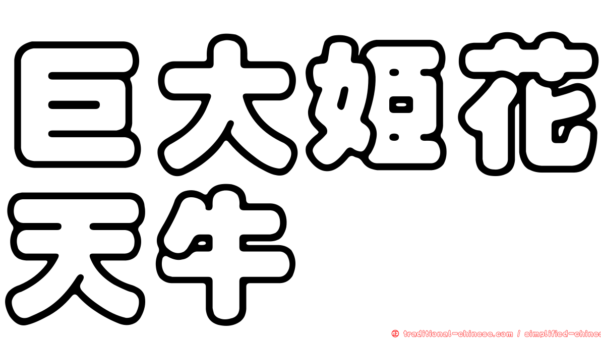 巨大姬花天牛