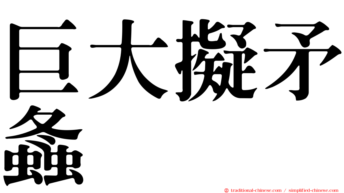 巨大擬矛螽