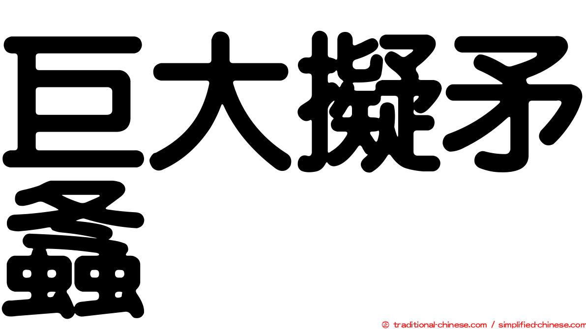 巨大擬矛螽