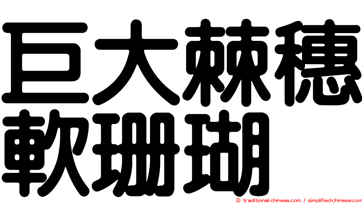 巨大棘穗軟珊瑚