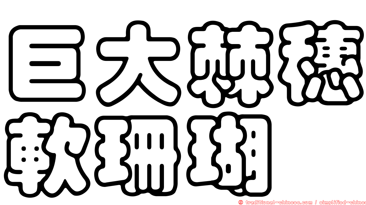 巨大棘穗軟珊瑚