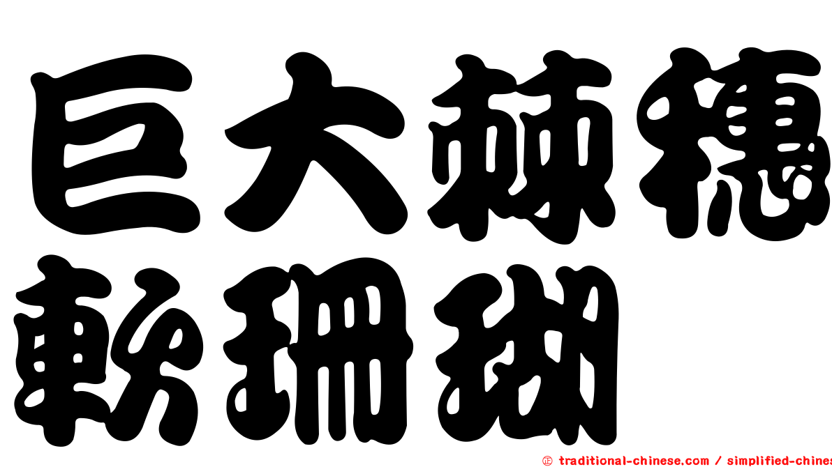 巨大棘穗軟珊瑚
