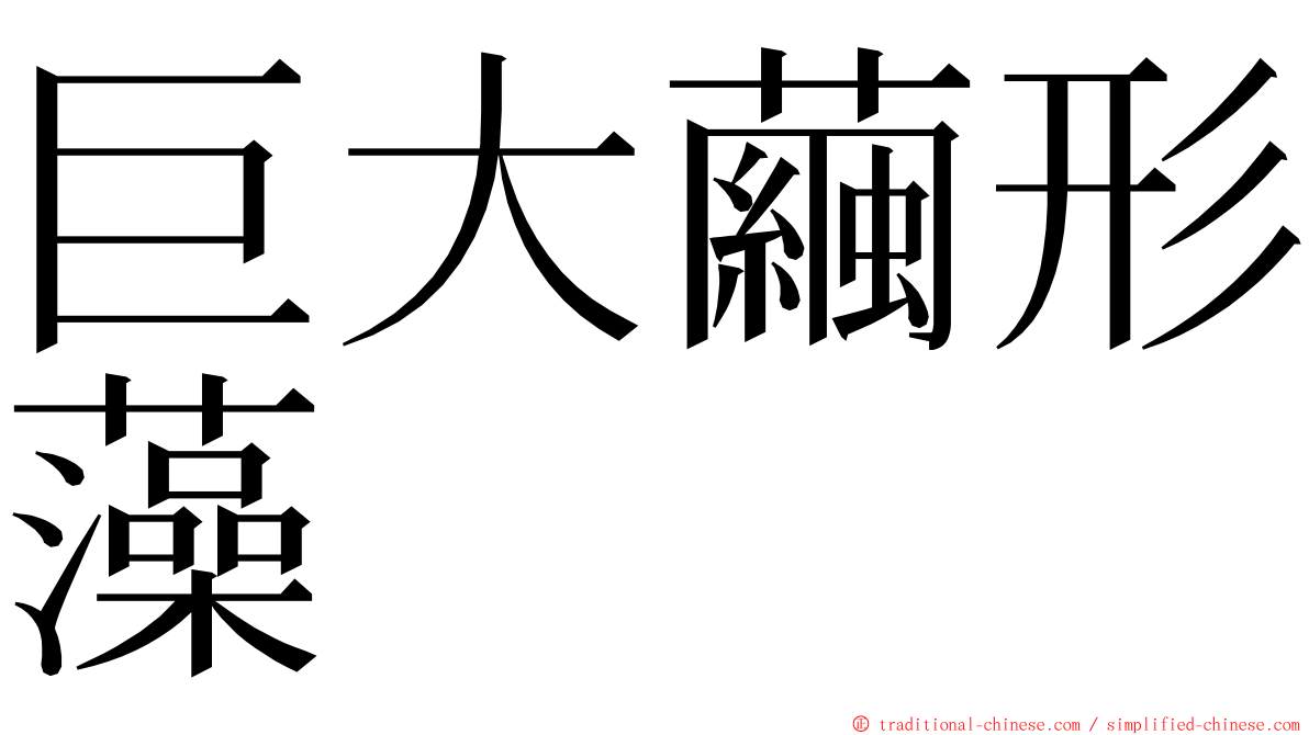 巨大繭形藻 ming font
