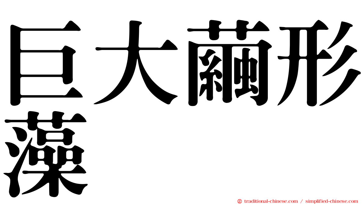 巨大繭形藻
