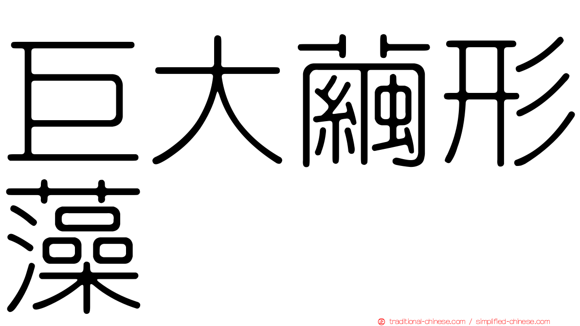 巨大繭形藻