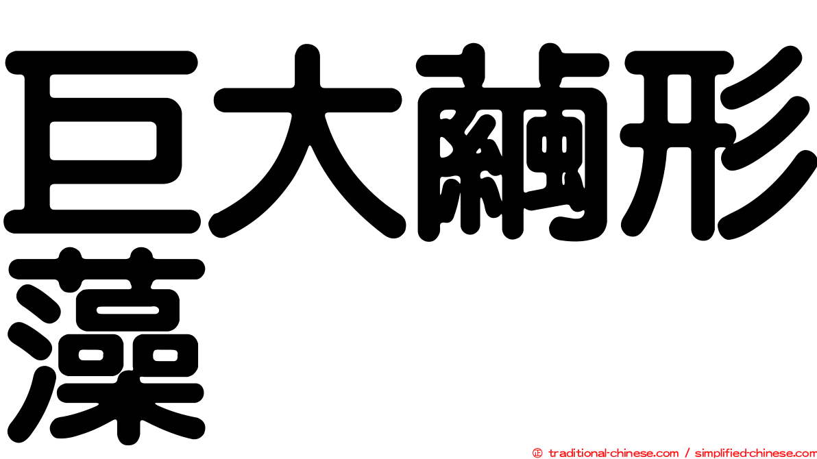 巨大繭形藻