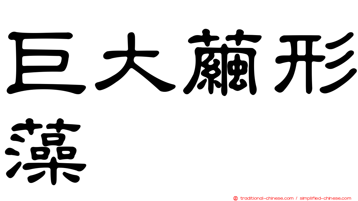 巨大繭形藻