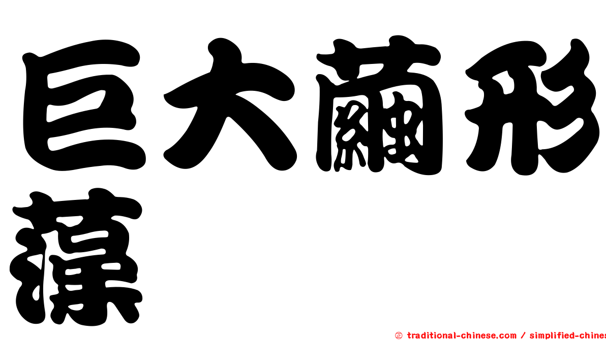 巨大繭形藻